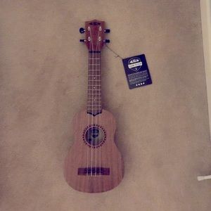 Ukulele (good for beginners)
